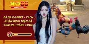 Đá Gà K-Sport