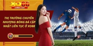 Thị Trường Chuyển Nhượng Bóng Đá